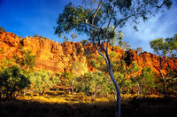 OB101 Sunrise, Boodjamulla National Park (Lawn Hill), Queensland